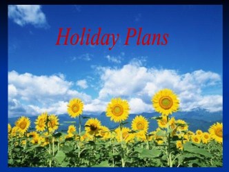 Holiday plans