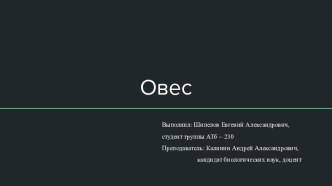 Овес. Технологии переработки