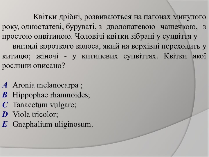 Квітки дрібні, розвиваються на пагонах минулого року, одностатеві, буруваті, з 	дволопатевою чашечкою,