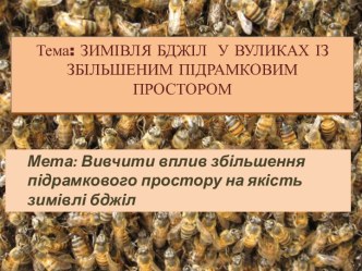 Зимівля бджіл у вуликах із збільшеним підрамковим простором