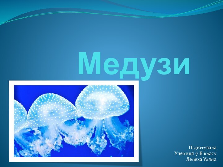 МедузиПідготувала Учениця 7-В класуЛепеха Уляна