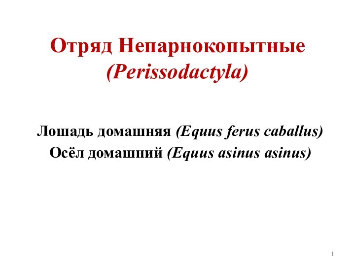 Отряд Непарнокопытные (Perissodactyla) Лошадь домашняя (Equus ferus caballus)Осёл домашний (Equus asinus asinus)