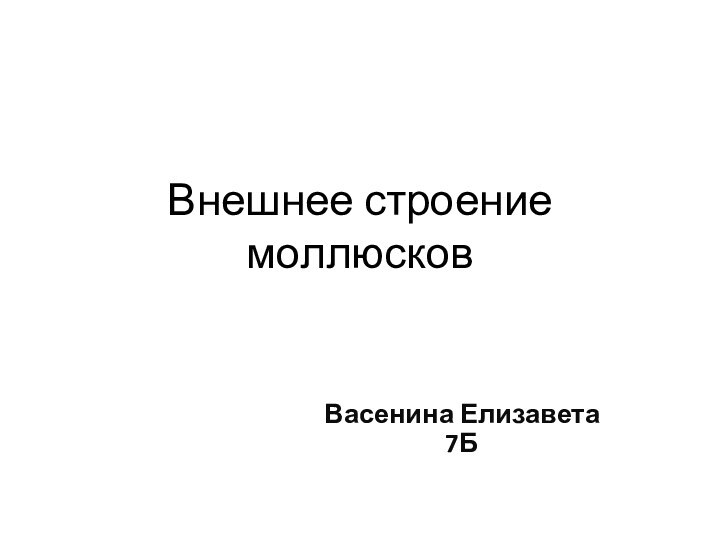 Внешнее строение моллюсковВасенина Елизавета 7Б