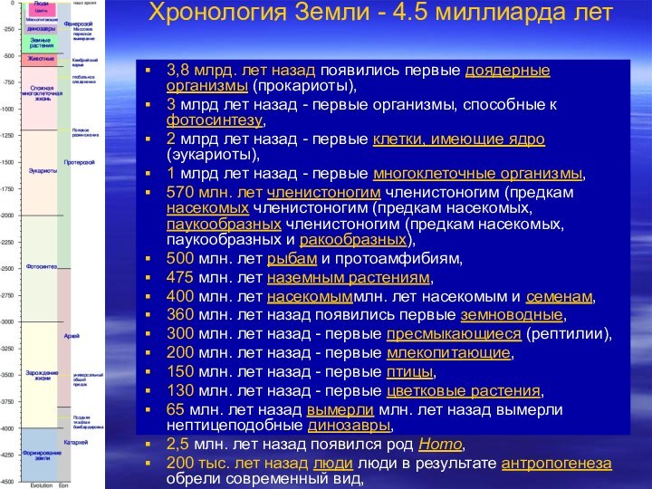 Хронология Земли - 4.5 миллиарда лет  3,8 млрд. лет назад появились