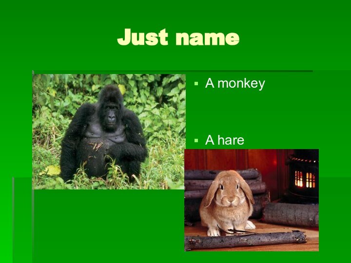 Just nameA monkeyA hare