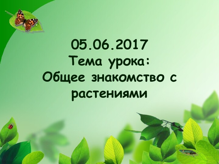 05.06.2017 Тема урока: Общее знакомство с растениями