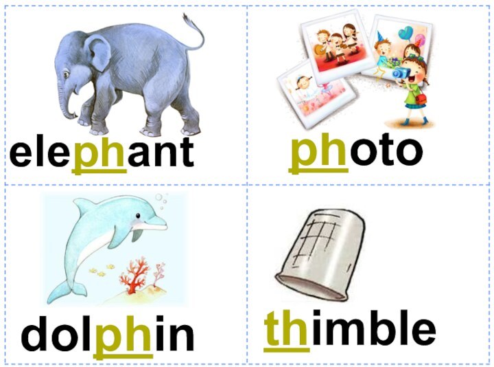 thimbleelephantphotodolphin