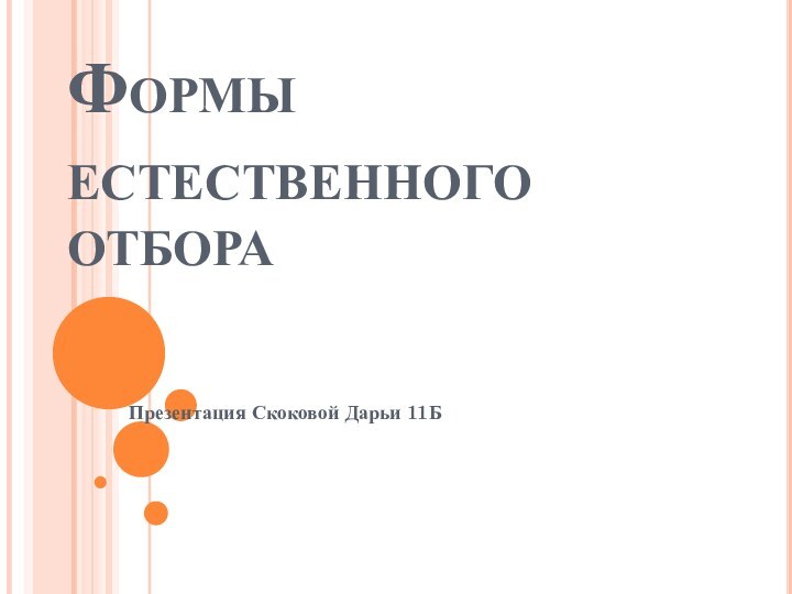 Формы  естественного  отбораПрезентация Скоковой Дарьи 11Б