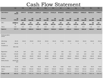 Cash flow statement. (1)