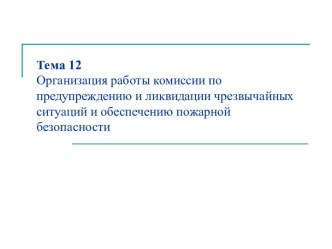 Организация работы комиссии по предупреждению и ликвидации чрезвычайных ситуаций и обеспечению пожарной безопасности