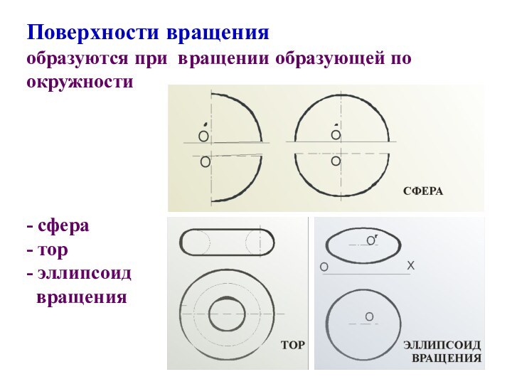 Поверхности вращения образуются при вращении образующей по окружности