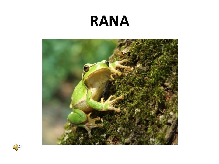 RANA