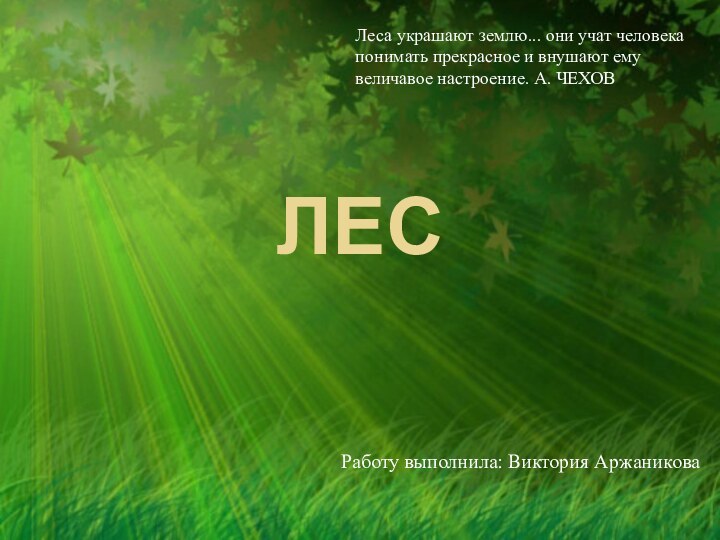 ЛЕС  Работу выполнила: Виктория АржаниковаЛеса украшают землю... они учат человека