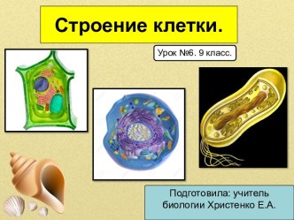 Строение клетки