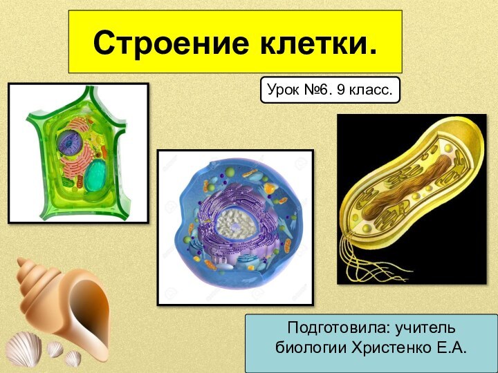 Строение клетки.Подготовила: учитель биологии Христенко Е.А.Урок №6. 9 класс.