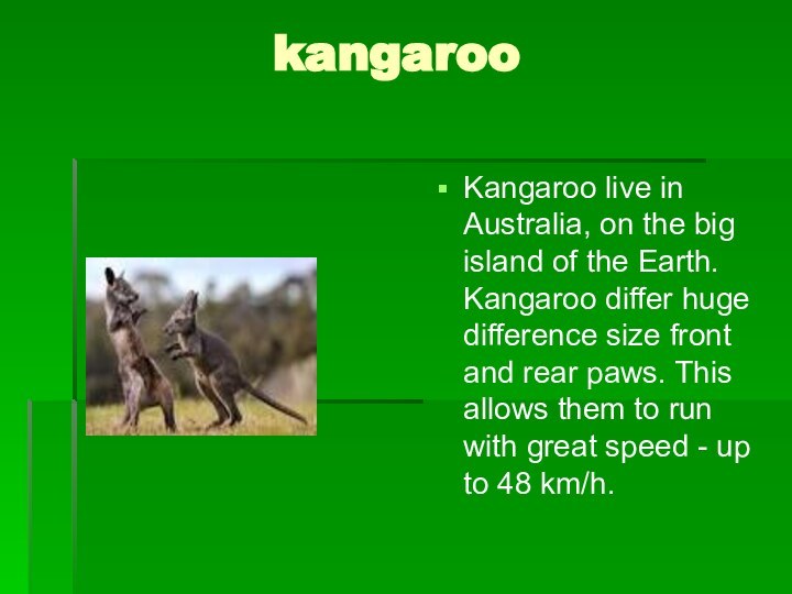 kangarooKangaroo live in Australia, on