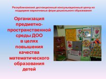 Организация предметно-пространственной среды ДОО в целях повышения качества математического образования детей