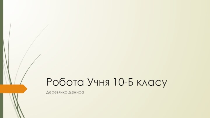 Робота Учня 10-Б класуДеревянка Дениса