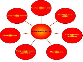 Подход, рекомендуемый при разработке программы НАССР