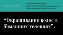 Бизнес-проект. Окрашивание волос в домашних условиях