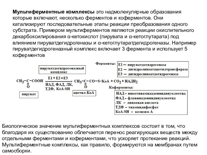 Мультиферментные комплексы это надмолекулярные образования которые включают, несколько ферментов и коферментов. Они