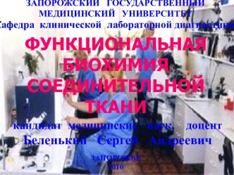 Функциональная биохимия соединительной ткани