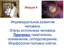 Индивидуальное развитие человека. Этапы онтогенеза человека. Прогенез: гаметогенез, осеменение, оплодотворение