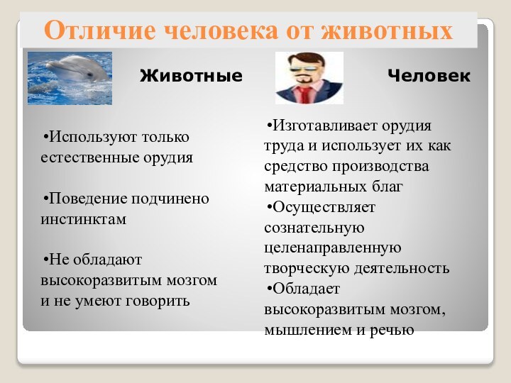Отличие человека от животныхЖивотныеЧеловекИзготавливает орудия труда и использует их как средство производства