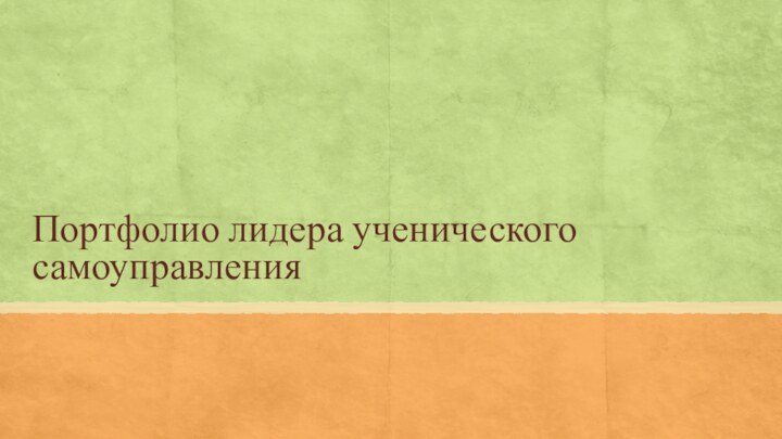 Портфолио лидера ученического самоуправления