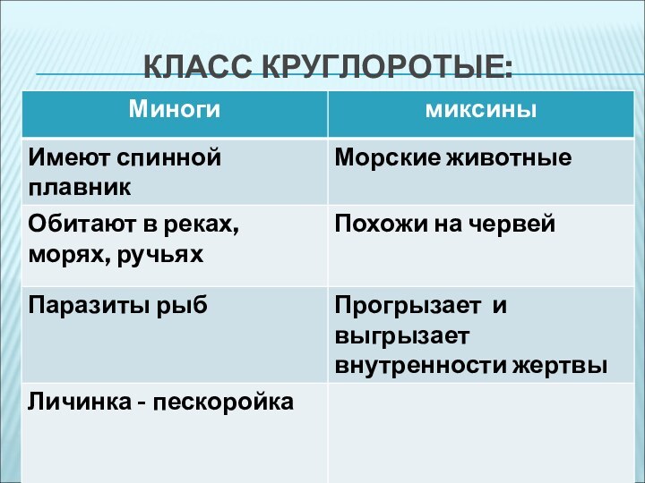 КЛАСС КРУГЛОРОТЫЕ: