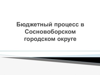 Бюджетный процесс в Сосновоборском городском округе