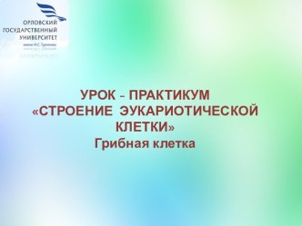 Урок - практикум Строение эукариотической клетки. Грибная клетка