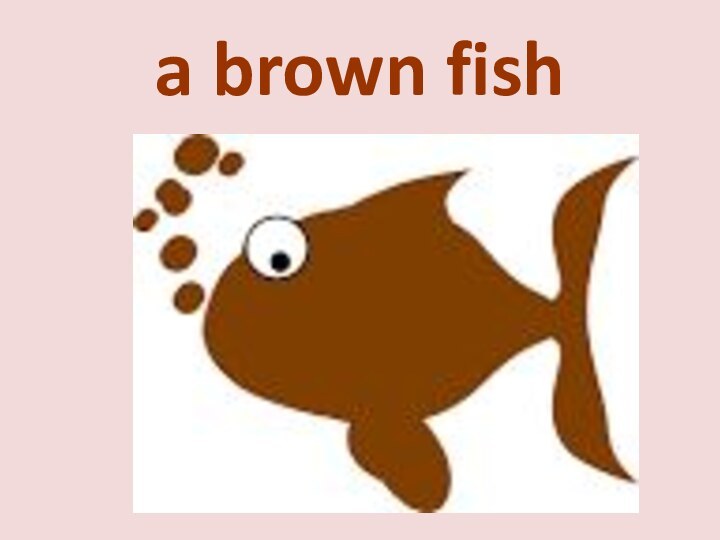 a brown fish