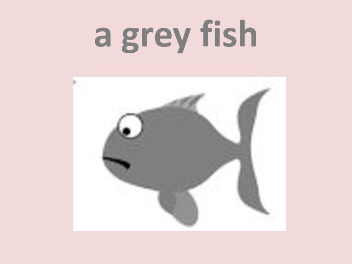 a grey fish