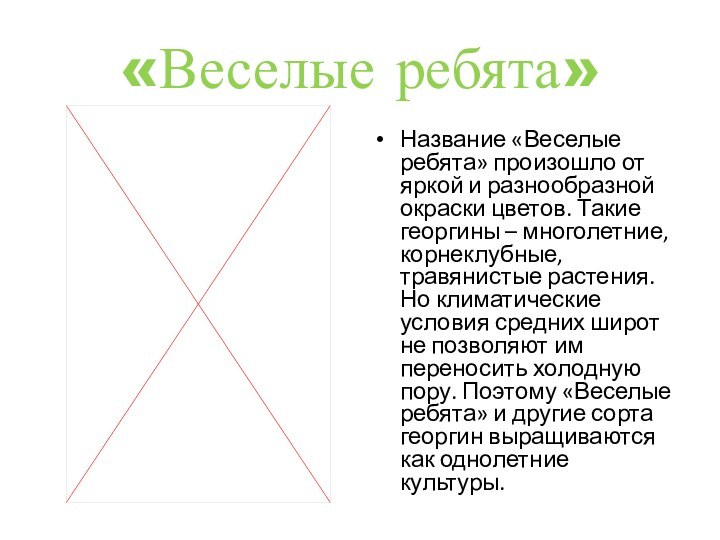 «Веселые ребята»Название «Веселые ребята» произошло от яркой и разнообразной окраски цветов. Такие