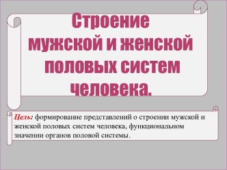 Строение и функции мужской и женской половых систем человека