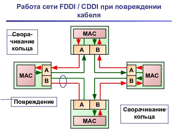 Работа сети FDDI / CDDI при повреждении кабеляПовреждениеСворачивание кольцаСвора-чивание кольца