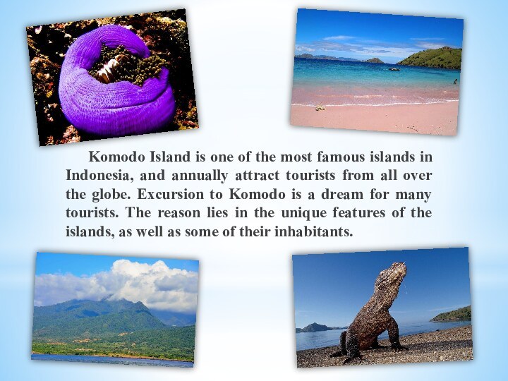 Komodo Island is one of the most famous islands in Indonesia, and