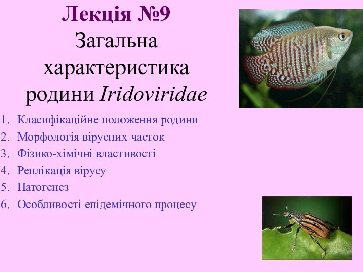 Лекція №9 Загальна характеристика  родини Iridoviridae  Класифікаційне положення родини Морфологія