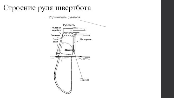 Строение руля швертботаПетлиРумпельУдлинитель румпеля