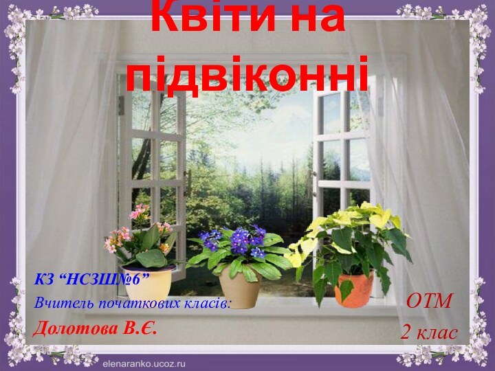 Квіти на підвіконніОТМ2 класКЗ “НСЗШ№6”Вчитель початкових класів: Долотова В.Є.