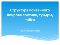 Структура почвенного покрова арктики, тундры, тайги