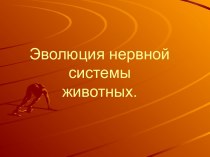 Эволюция нервной системы животных