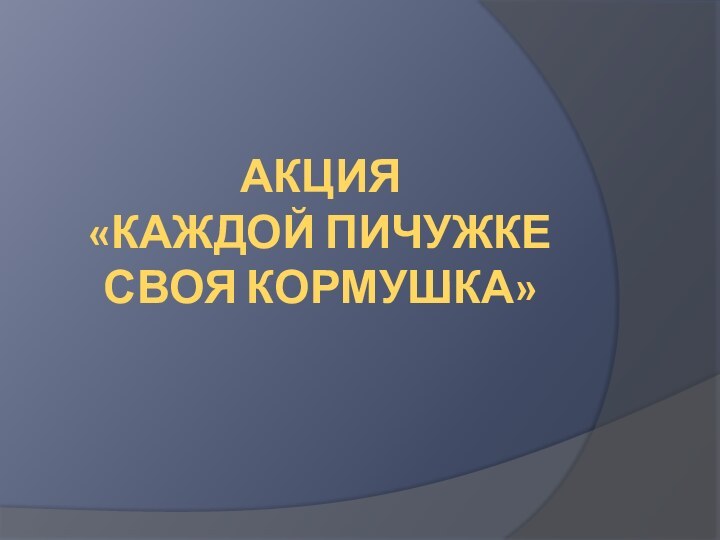 АКЦИЯ  «КАЖДОЙ ПИЧУЖКЕ СВОЯ КОРМУШКА»