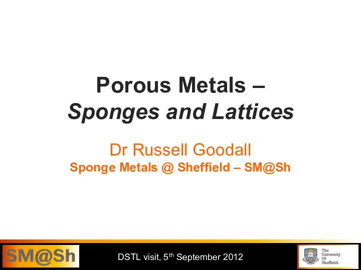 Porous Metals –  Sponges and Lattices  Dr Russell Goodall Sponge