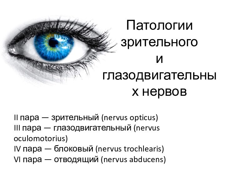 Патологии зрительного  и глазодвигательных нервовII пара — зрительный (nervus opticus)III пара