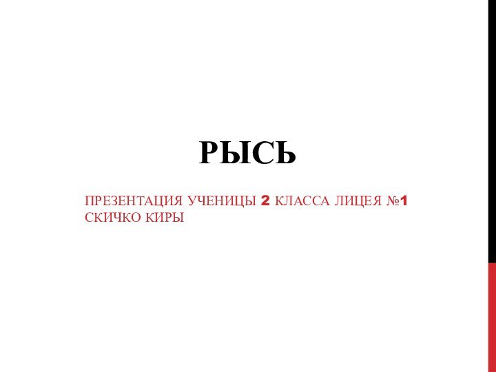 РЫСЬПРЕЗЕНТАЦИЯ УЧЕНИЦЫ 2 КЛАССА ЛИЦЕЯ №1 СКИЧКО КИРЫ