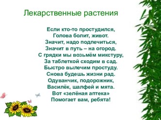 Лекарственные растения