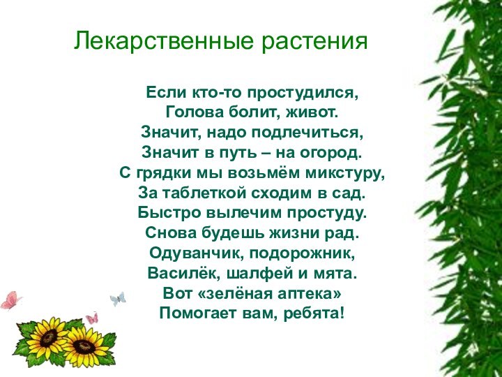 Лекарственные растенияЕсли кто-то простудился,Голова болит, живот.Значит, надо подлечиться,Значит в путь – на