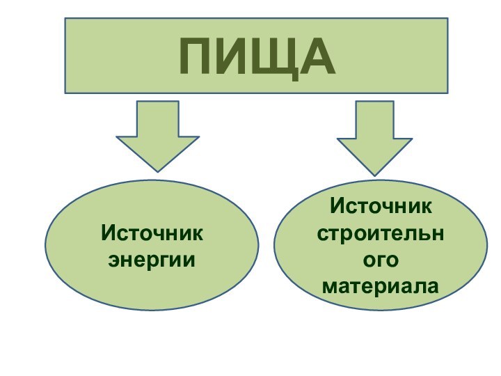 ПИЩАИсточник энергииИсточник строительного материала